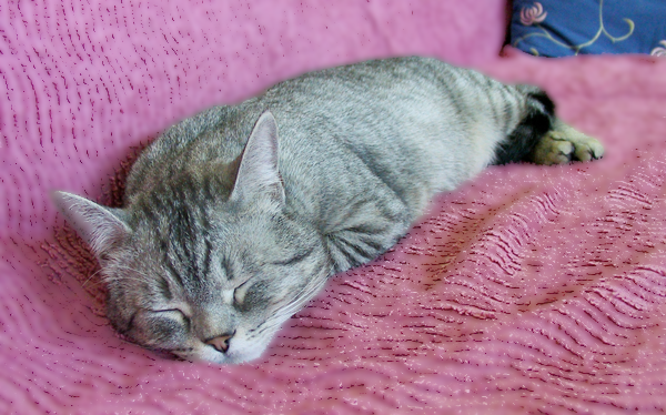 sleep2
